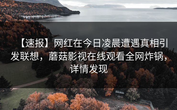 【速报】网红在今日凌晨遭遇真相引发联想，蘑菇影视在线观看全网炸锅，详情发现