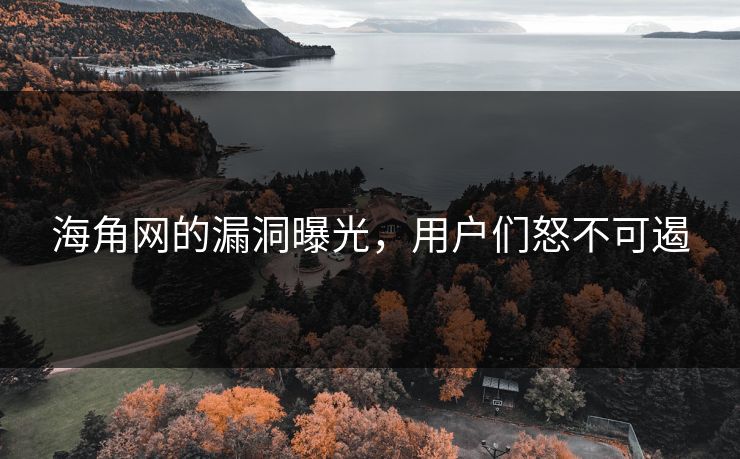 海角网的漏洞曝光，用户们怒不可遏