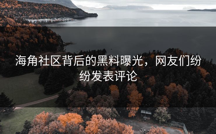 海角社区背后的黑料曝光，网友们纷纷发表评论