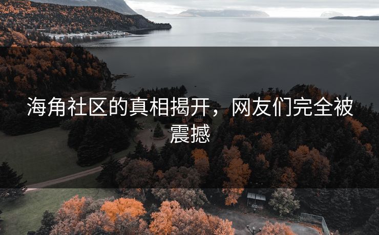 海角社区的真相揭开，网友们完全被震撼