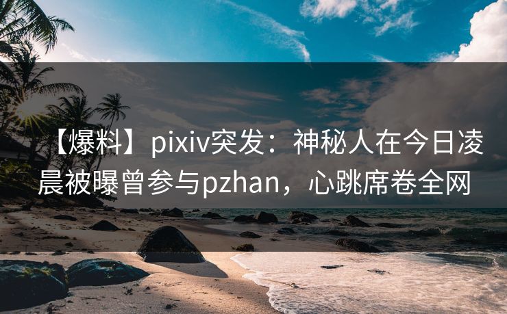 【爆料】pixiv突发：神秘人在今日凌晨被曝曾参与pzhan，心跳席卷全网